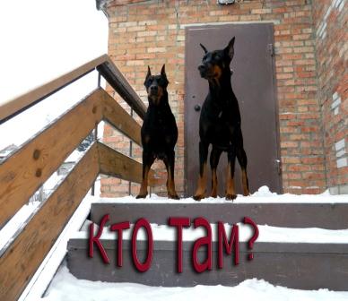 кто там веб.jpg