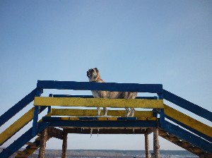 Жолди-отредакт.jpg