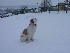 гуля отредакт.jpg