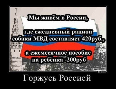 getImage (37).jpg