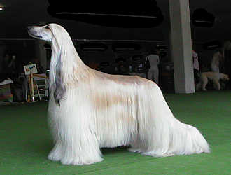 a6fd08b59dd4.jpg