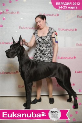 Варвара на Евразии 2012.jpg