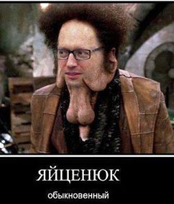 для димыча3.jpg