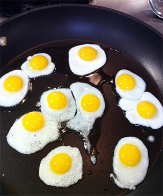 fried_quail_eggs.jpg