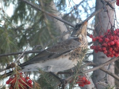 DSCF7738.JPG