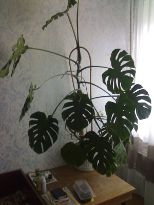 10052010001.jpg