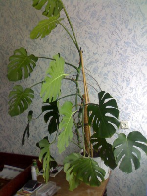 10052010002.jpg