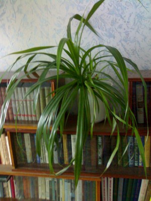 10052010003.jpg
