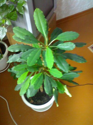 10052010005.jpg