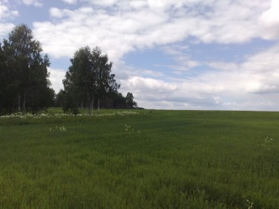 030720102454.jpg