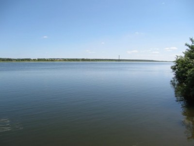 x_10e795c7.jpg