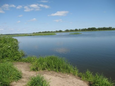x_722548e9.jpg