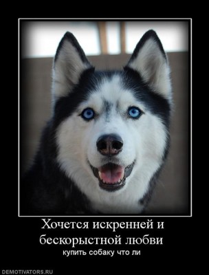 558226_hochetsya-iskrennej-i-beskoryistnoj-lyubvi-.jpg