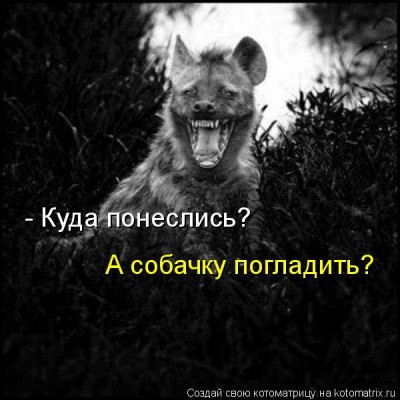 704329.jpg