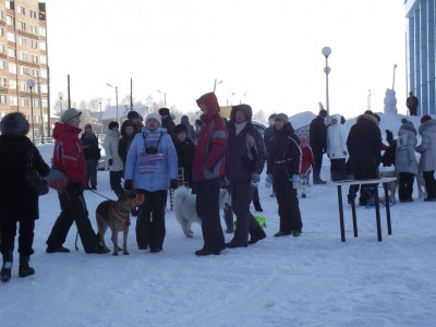 DSCF1613.jpg