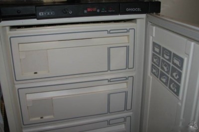 4498435.jpg