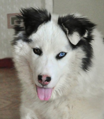 DSC_8811-2.jpg