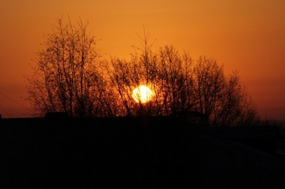 y_420d24ed.jpg