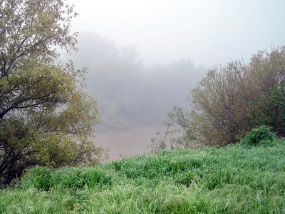 F 007.jpg