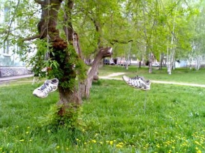 летающие тапки.jpg
