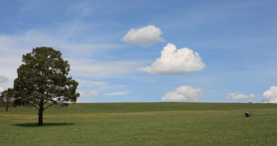 Классика жанра сайт.jpg