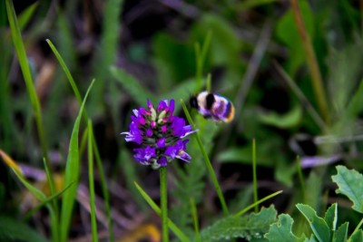 IMG_5731.jpg