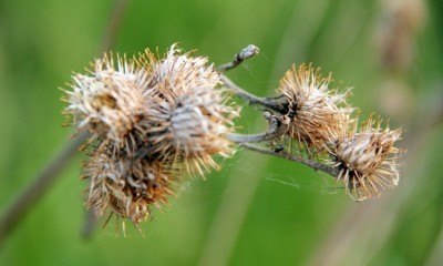 y_83f167a1.jpg