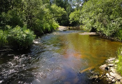 river #2.jpg