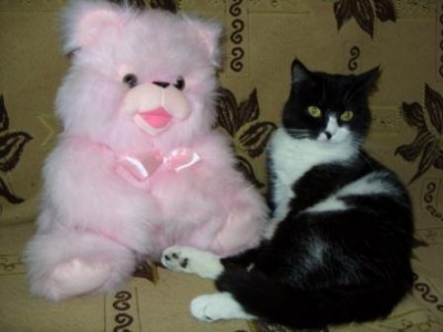 Клепка .JPG
