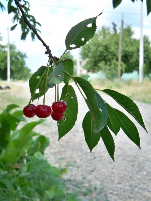 в 005.jpg