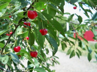 в 006.jpg