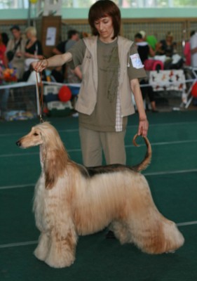 16.07.2011 Новосибирск 329.jpg