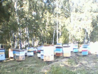 IMG0114A.jpg