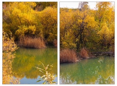 Autumn #5.jpg