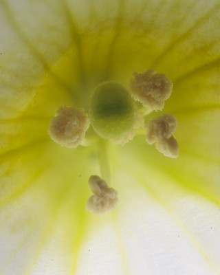 _MG_8173.jpg