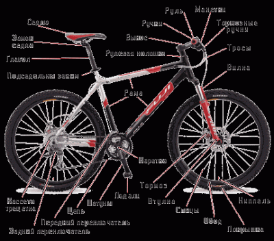 map-bike.gif