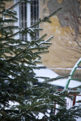 IMG_3964.jpg