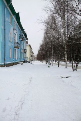 IMG_3960.jpg