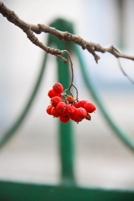 untitled-361.jpg