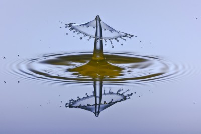 5443833030_0a927fdce6_b.jpg