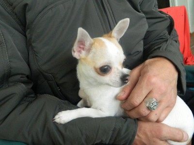 DSCN4659.jpg