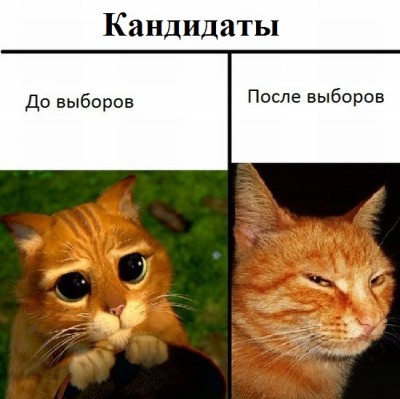 podb_03.jpg