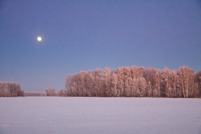 IMG_4795.jpg