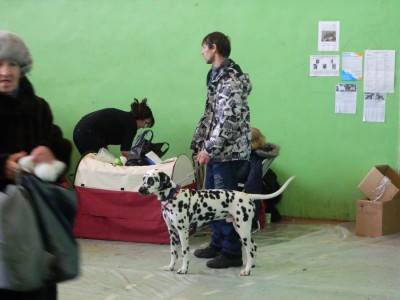 Изображение 032.jpg