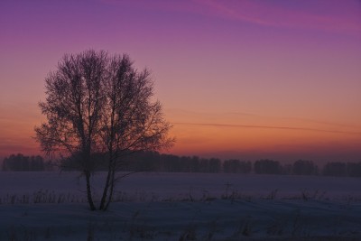 sunset.jpg