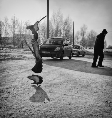 голуби (2).jpg