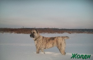 FotoSketcher image.jpg