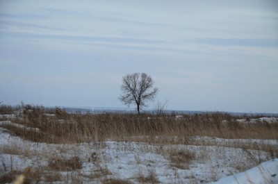IMG_0818.JPG
