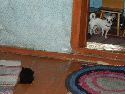 DSCN7191.JPG