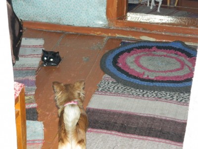 DSCN7195.JPG